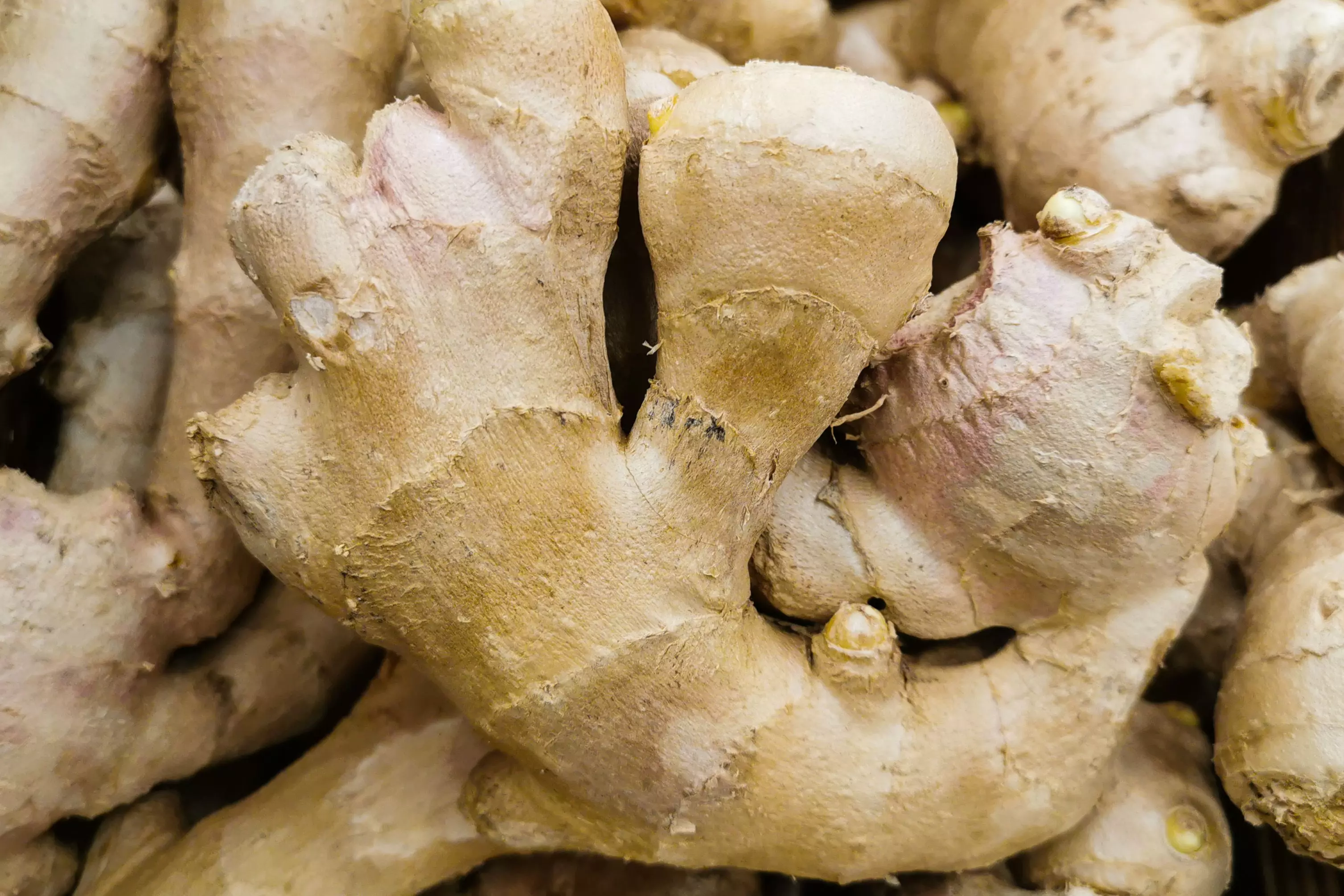Ginger is known for a variety of health benefits and is filled with antioxidants (