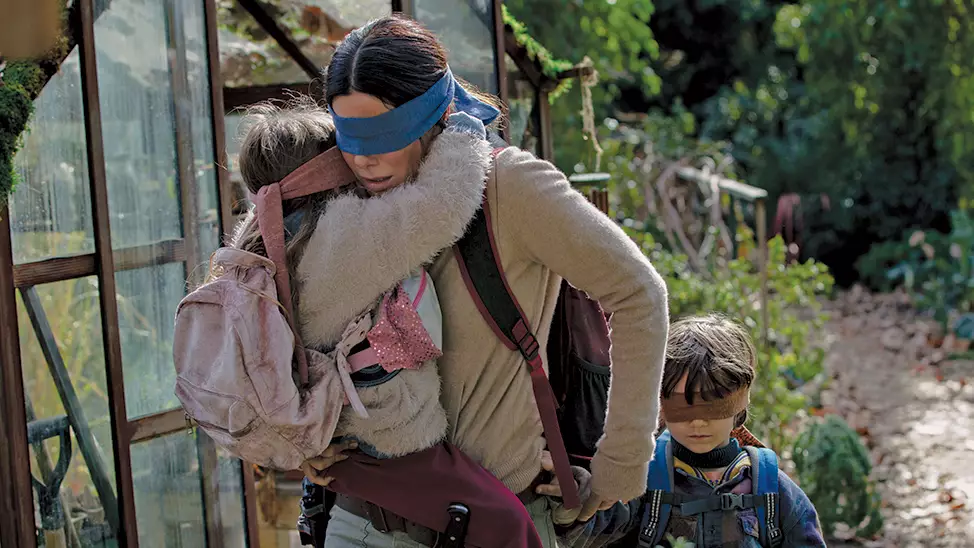 People Losing Their Minds Over Unanswered 'Bird Box' Questions