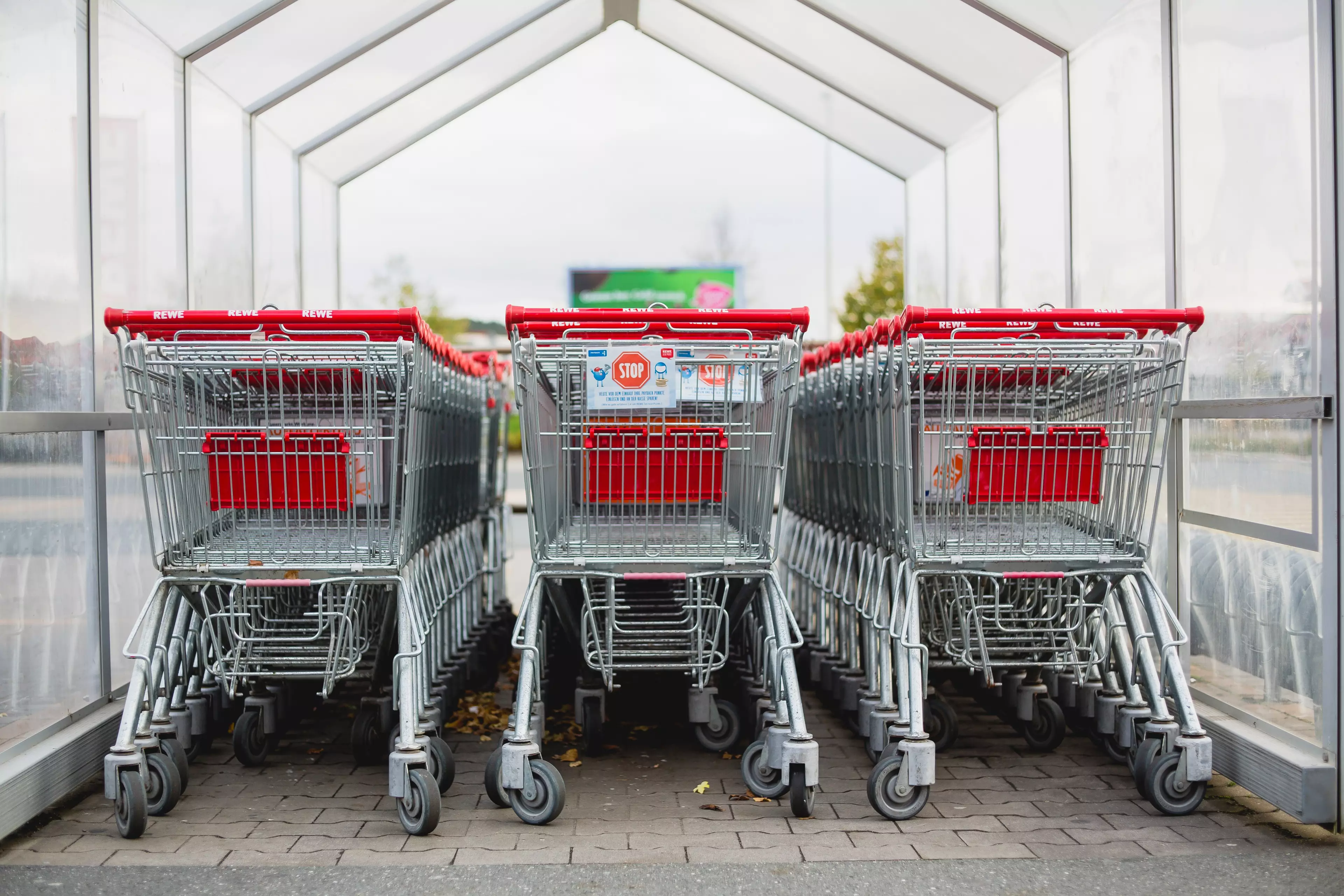 Aldi have advised shoppers not to touch trolleys until they are positioned in front of the store, once deep cleaned (