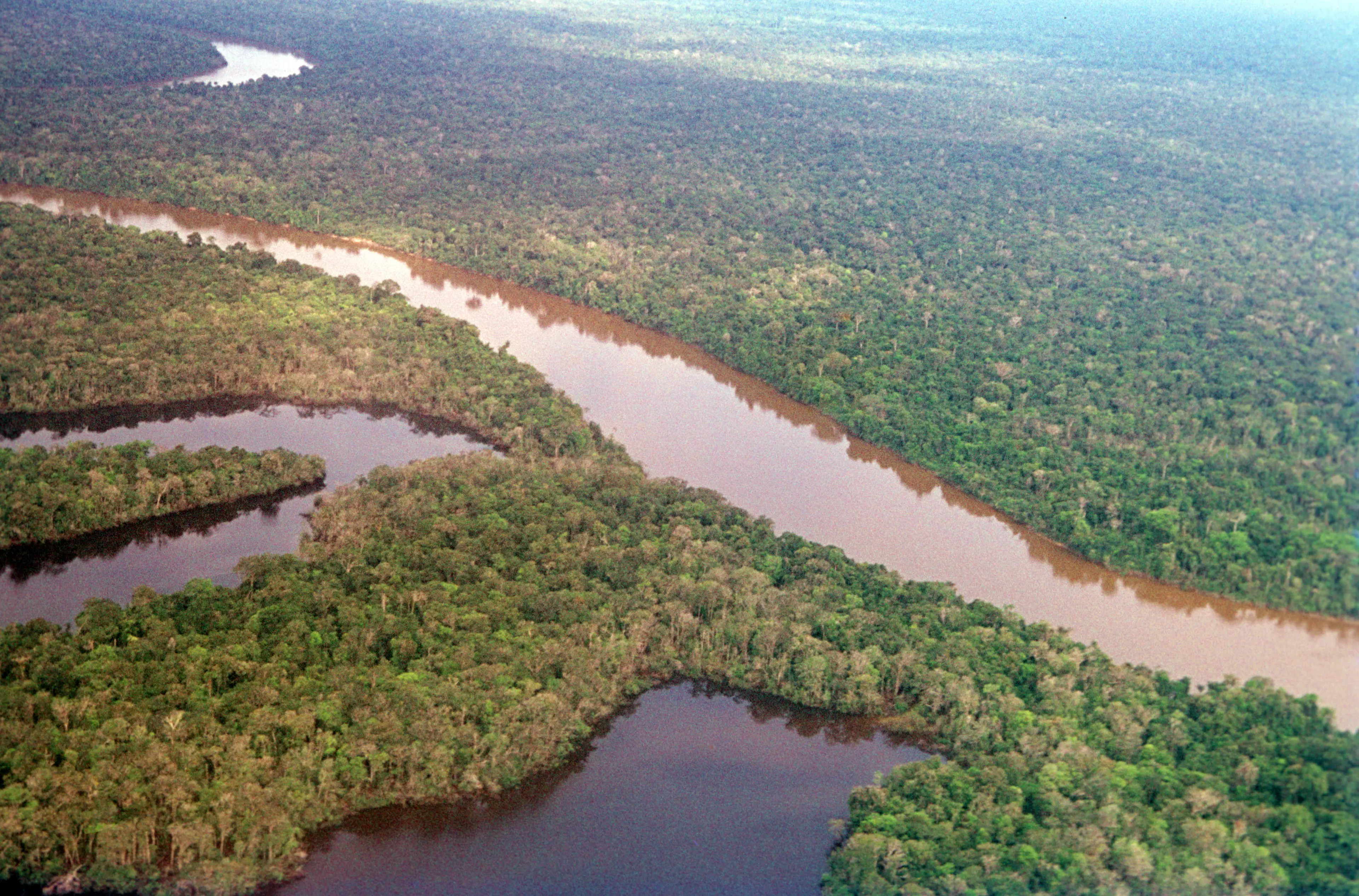 The Amazon River.