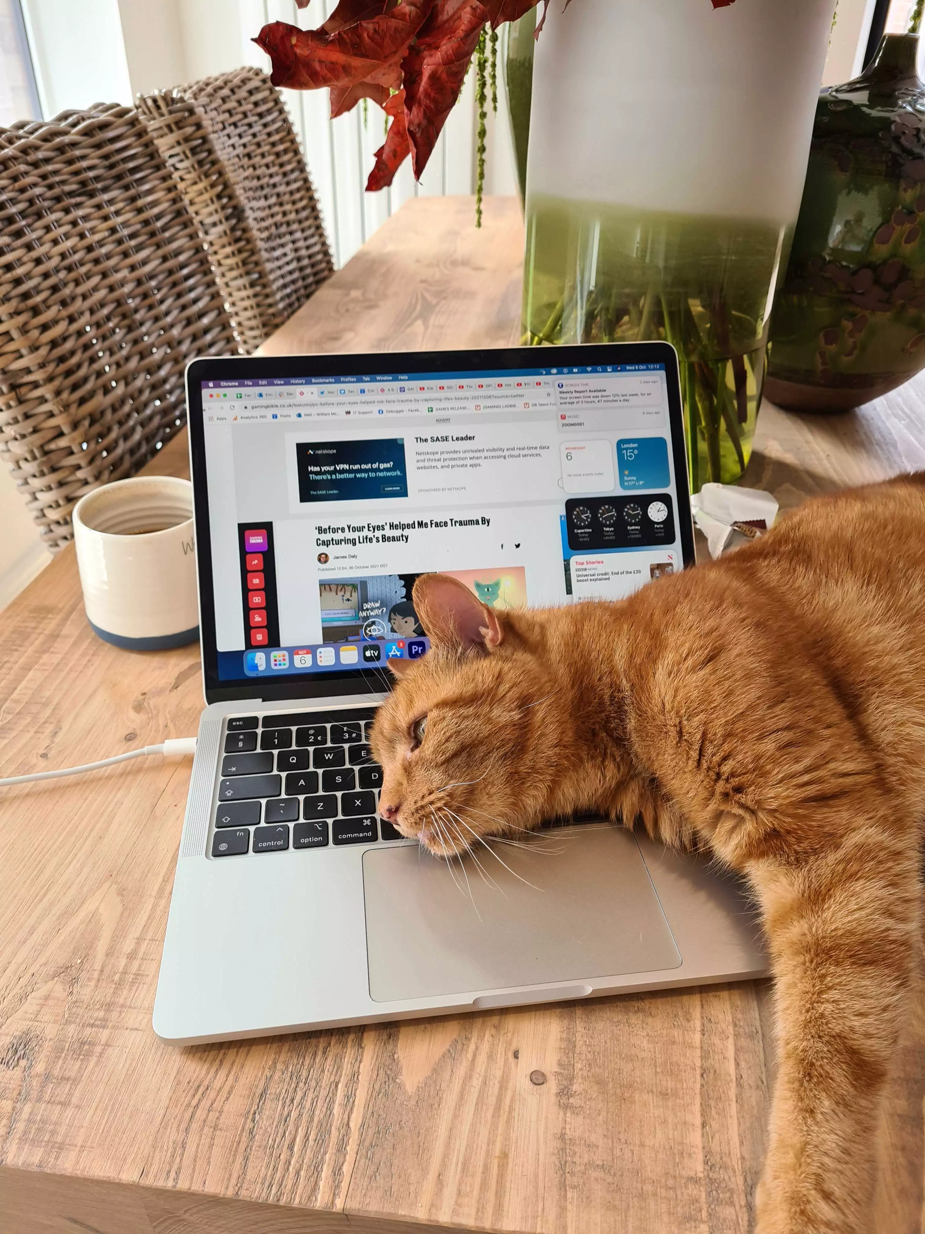 Fudge the cat helping with our social editor's day to day tasks /