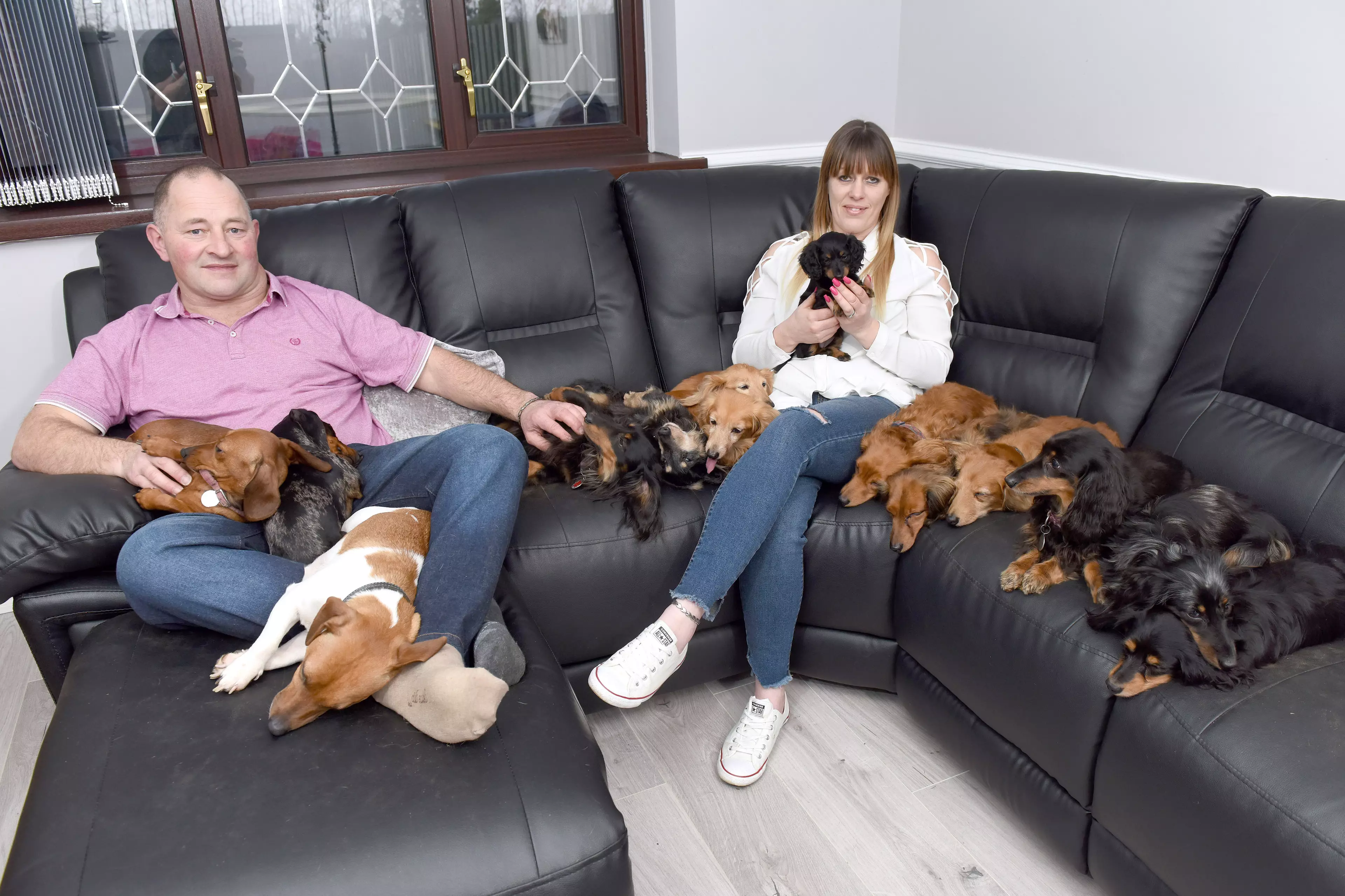 The pair chose their huge sofa because of the amount of dogs they own (