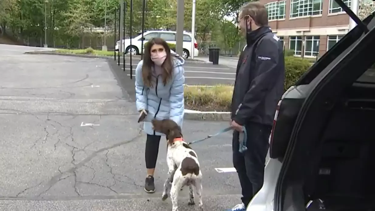 Reporter Covering Story Of Dognapping Finds The Stolen Dog 
