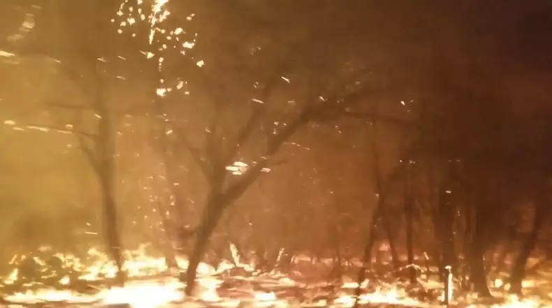 Terrifying Video Shows People Fleeing Raging California Wildfires.