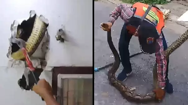 Thai Man Discovers 15ft Snake Hiding In Wall While Watching TV