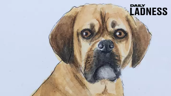 Artist Does Watercolour Portraits Of People's Departed Pets Free Of Charge