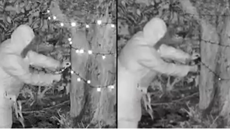 Old Woman Sneaks Into Neighbours' Garden And Cuts Down Christmas Lights