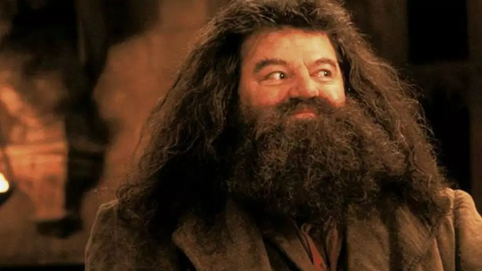 Robbie Coltrane as Hagrid in the Harry Potter films.