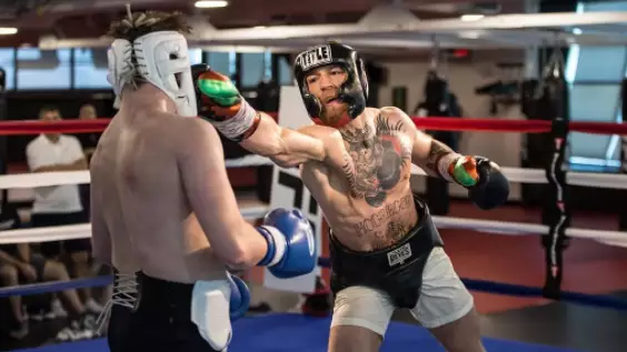 Conor McGregor Has A Dig At Floyd Mayweather's Domestic Abuse Record