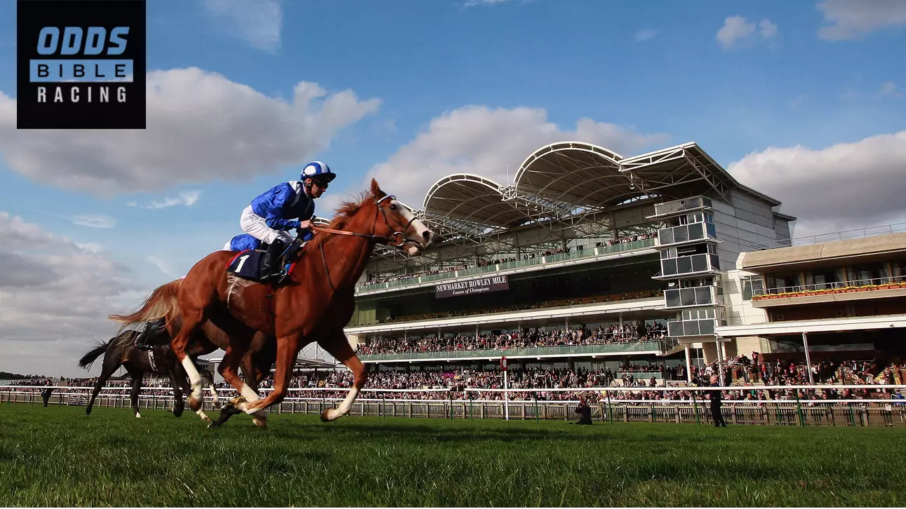 ODDSbible Racing: Friday Preview From Ascot, Newmarket And More