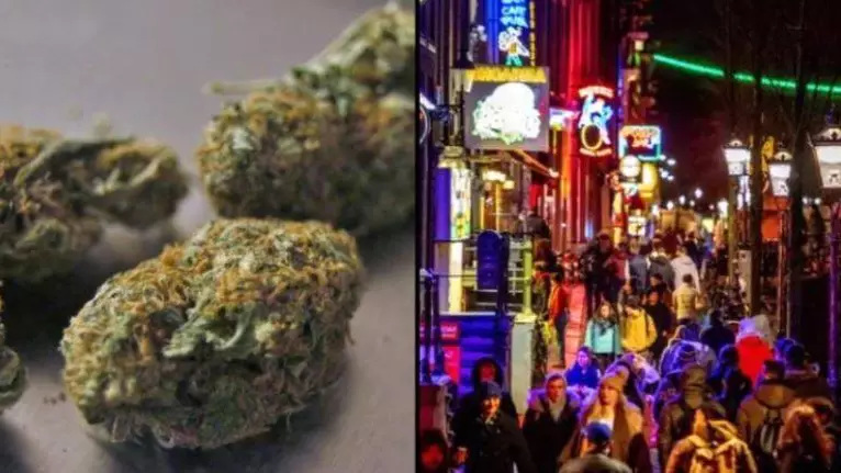 Amsterdam Mayor Proposes Cannabis Cafe Ban For Foreigners