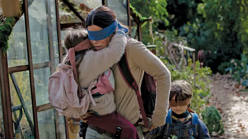 A 'Bird Box' Sequel Is On Its Way After Netflix Film Inspired Author
