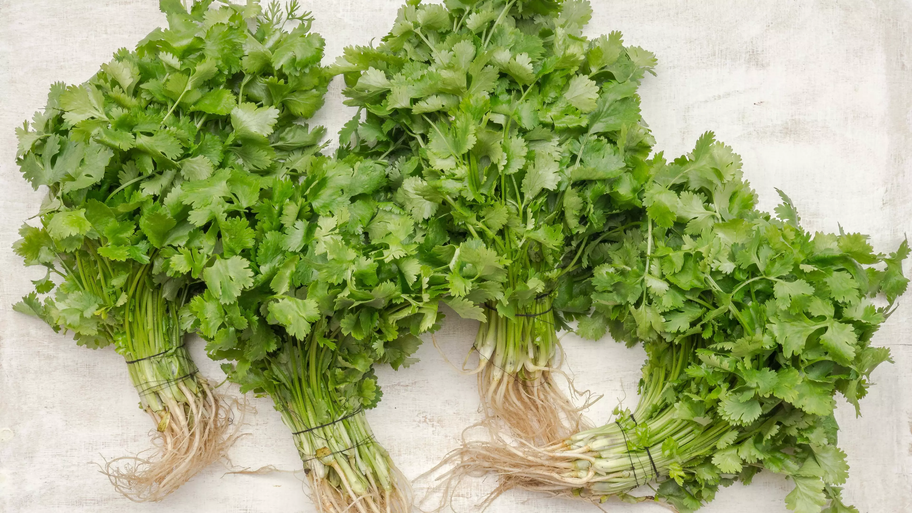 This Facebook Page Dedicated To People Who Hate Coriander Has 220,000 Members And We're Here For It