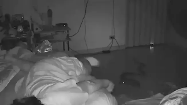 Woman Woken Up By Wild Python Biting Her In Her Sleep