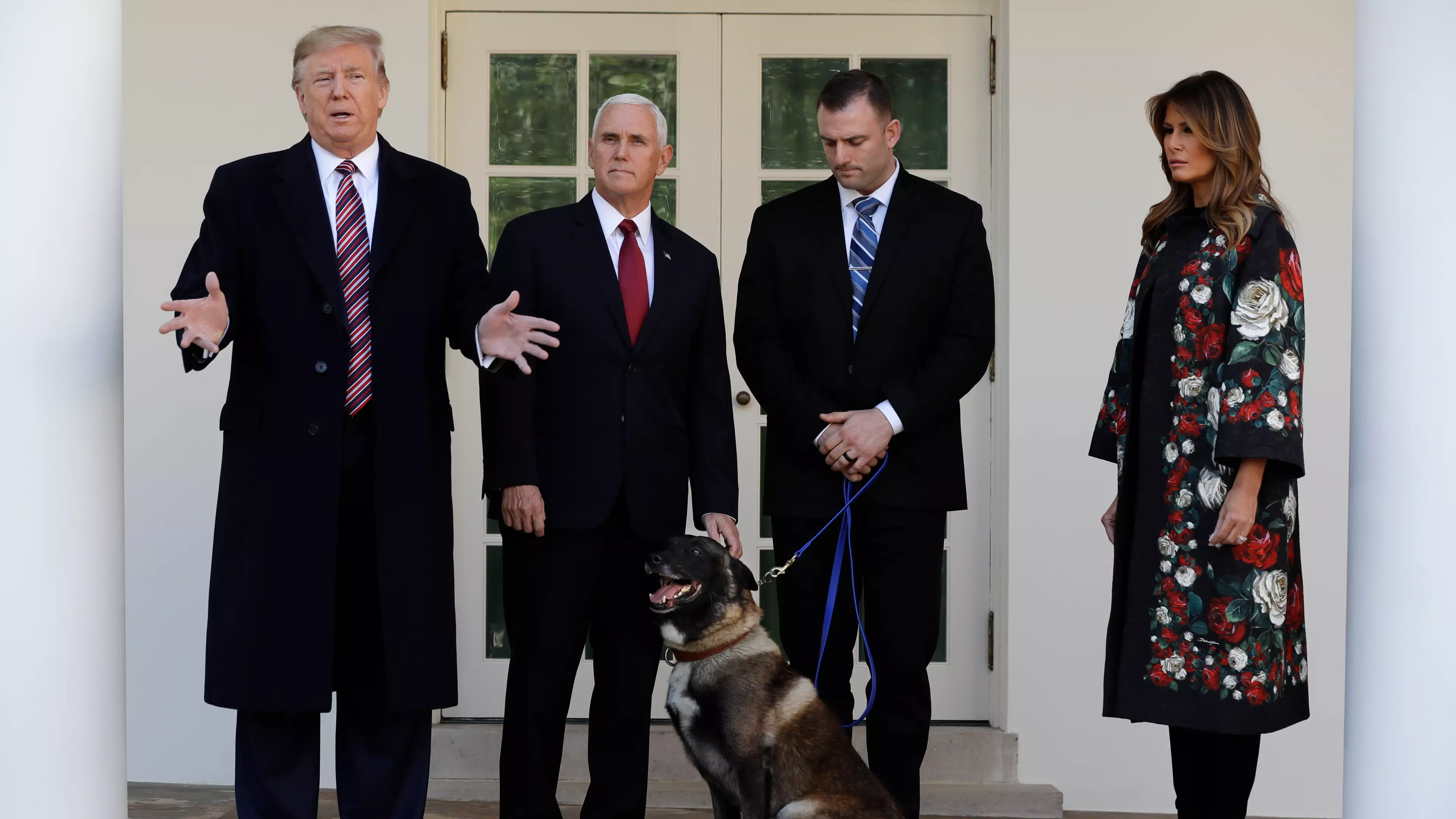 Donald Trump Has Honoured Dog Conan Who Assisted ISIS Leader Raid