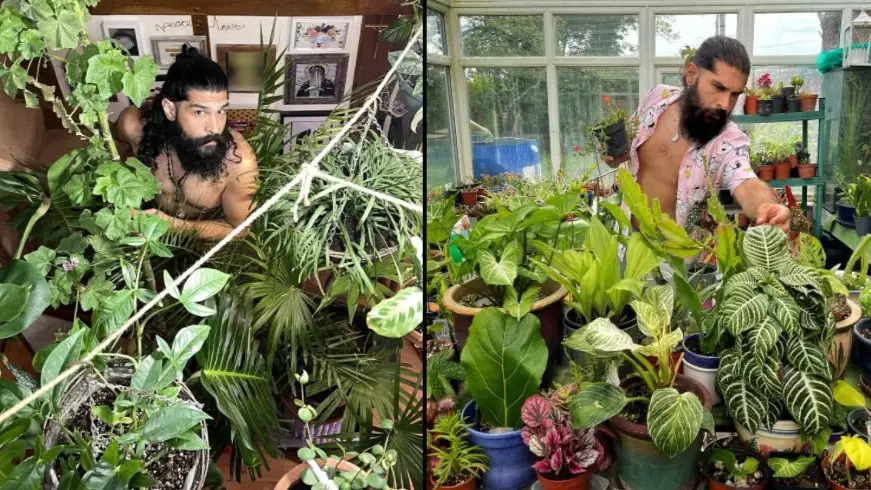 Dad Spends £6,000 Turning House Into Indoor Jungle With 2,000 Plants