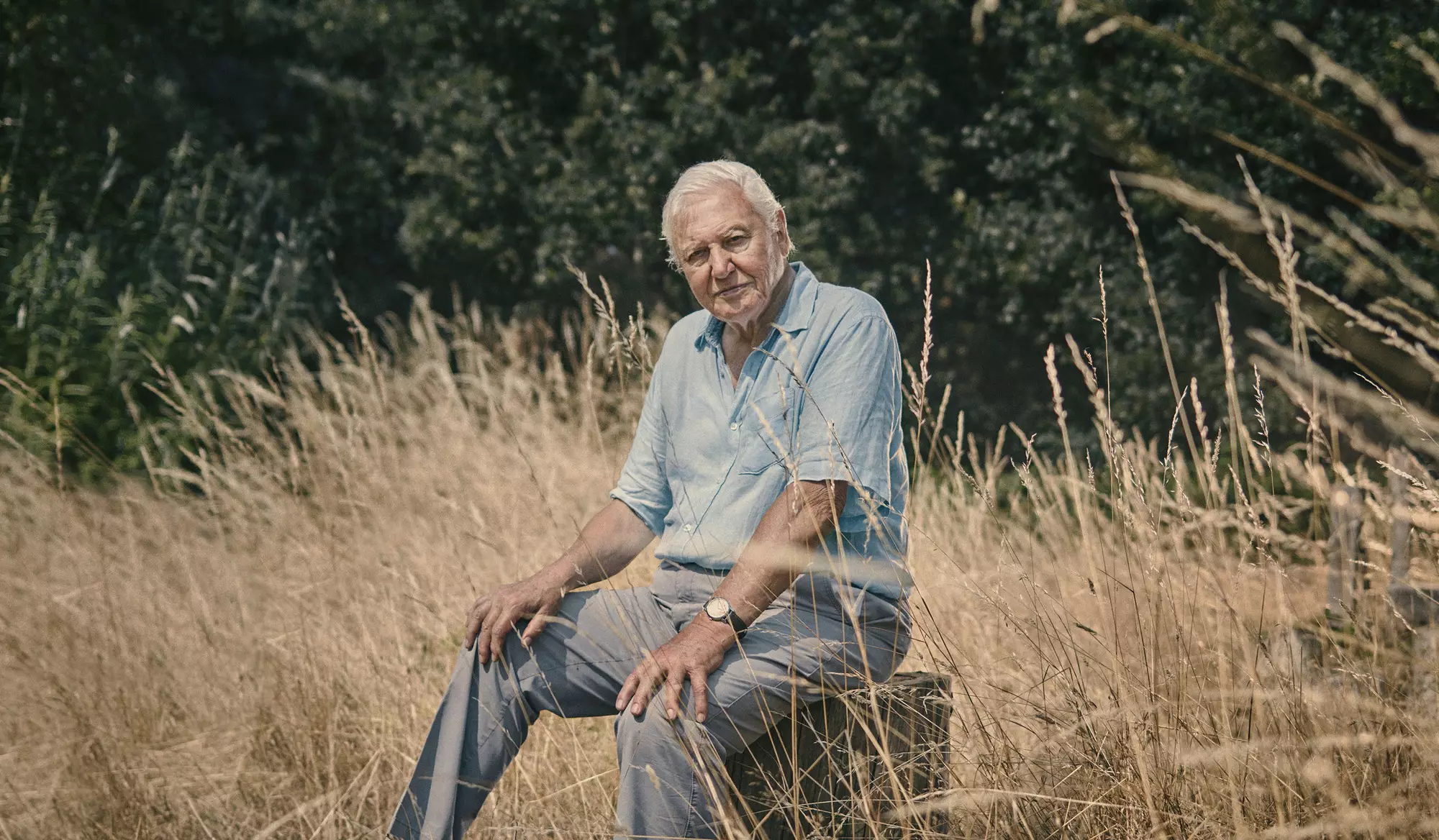 David Attenborough warns of the effects of the extinction of certain species on the planet (