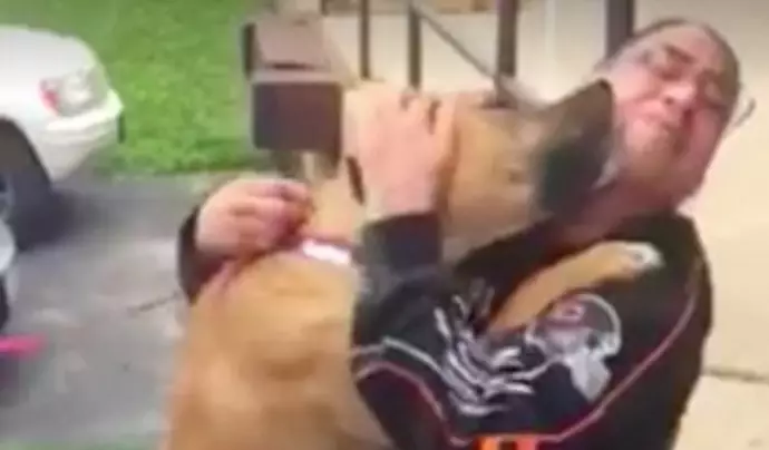 Emotional Moment Dog Is Reunited With Owner After Two Years