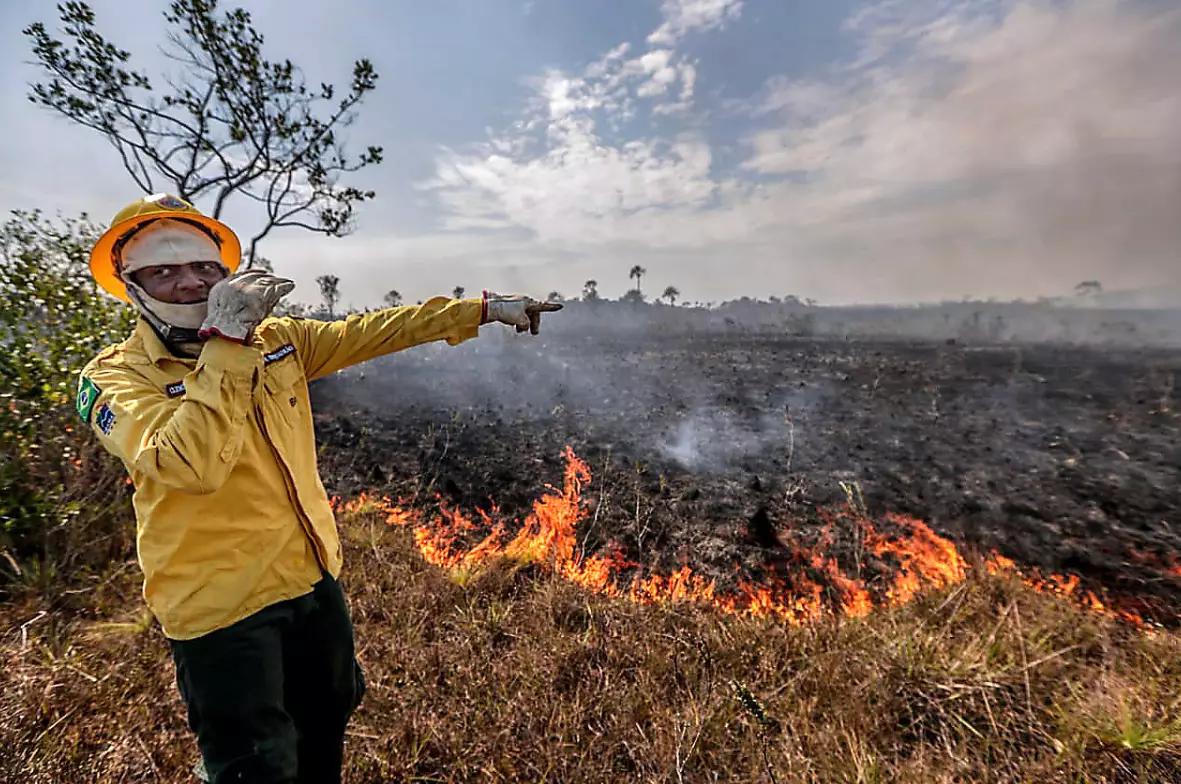 A worker of the Brazilian Institute of the Environment and Renewable Natural Resources points at the damage caused by fire.