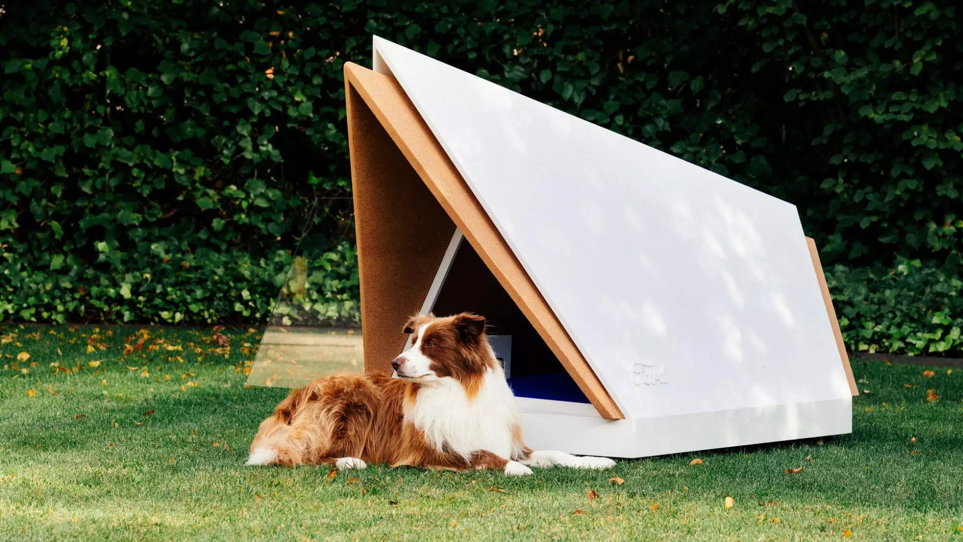 Noise-Cancelling Kennel Protects Your Pup From Fireworks Noise