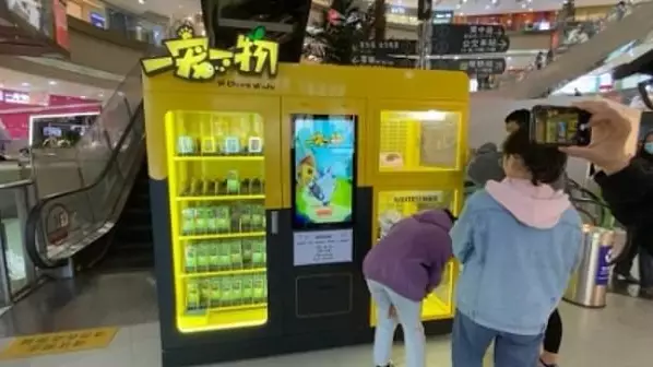 Kittens And Puppies Offered As Prizes In Chinese Gaming Machine