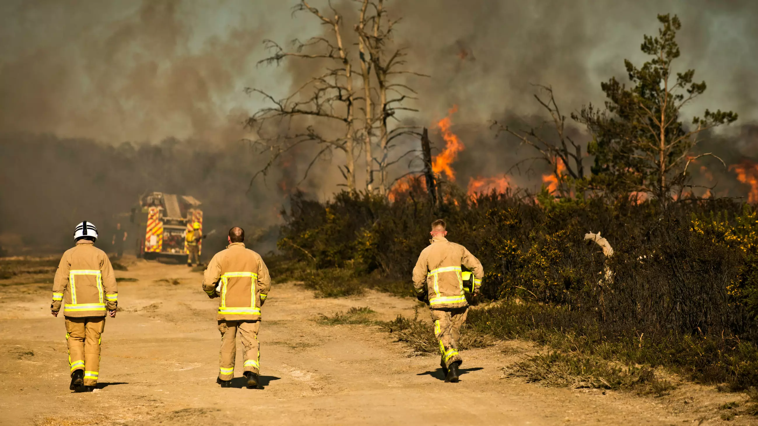 Wildfires Rip Through Winnie The Pooh's Hundred Acre Wood