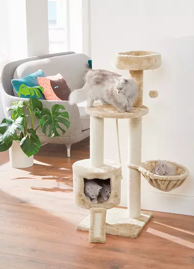 The multi-level Zoofari Cat Scratching Post (£29.99) comes with a hammock and toy ball attached (