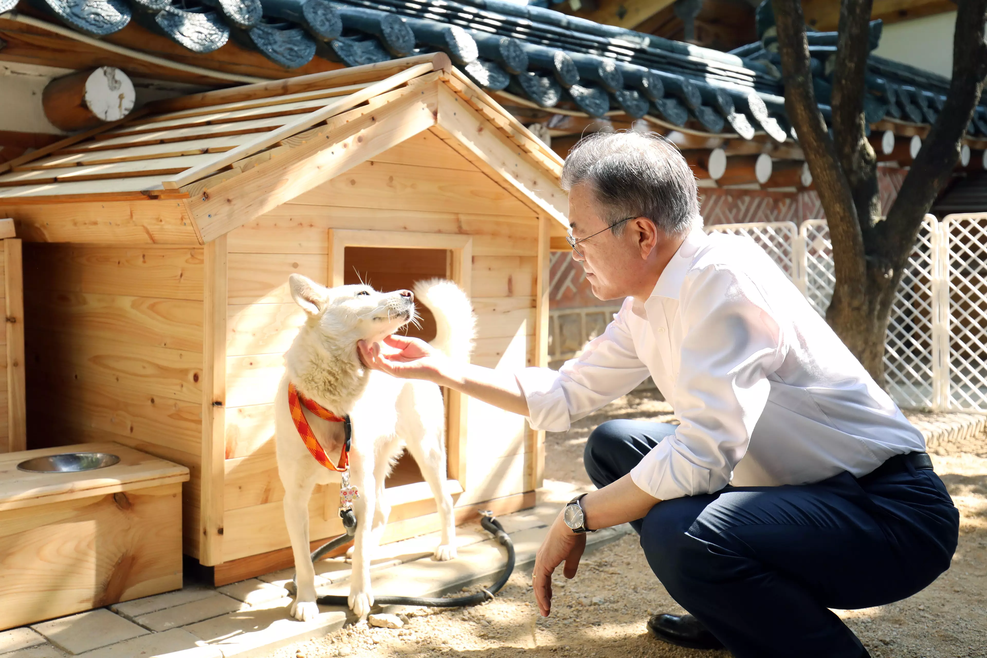Moon is the first leader to bring a rescue dog into the Blue House.