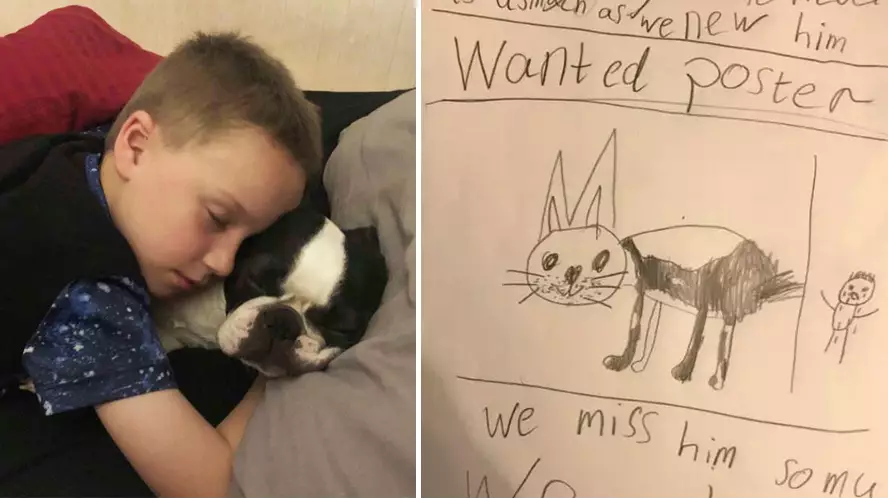 Heartbroken Little Boy Makes Tear-Jerking 'Wanted' Poster To Find His Missing Dog