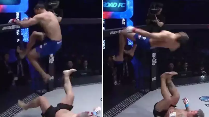 MMA Fighter Performs WWE Move 'The Moonsault' Off The Cage Walls