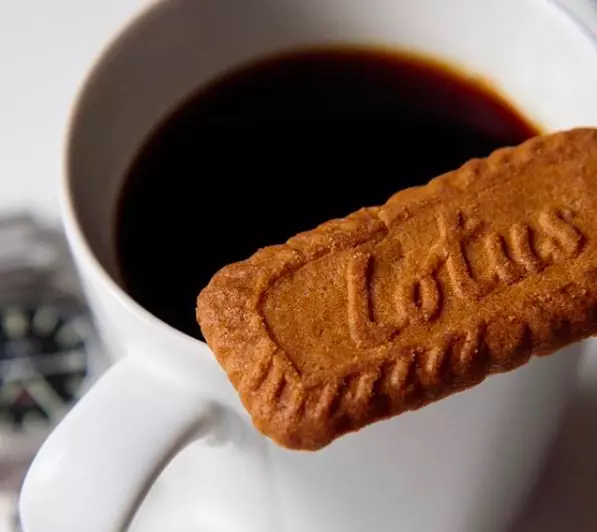 The Lotus Biscoff biscuit has a signature caramel hue (