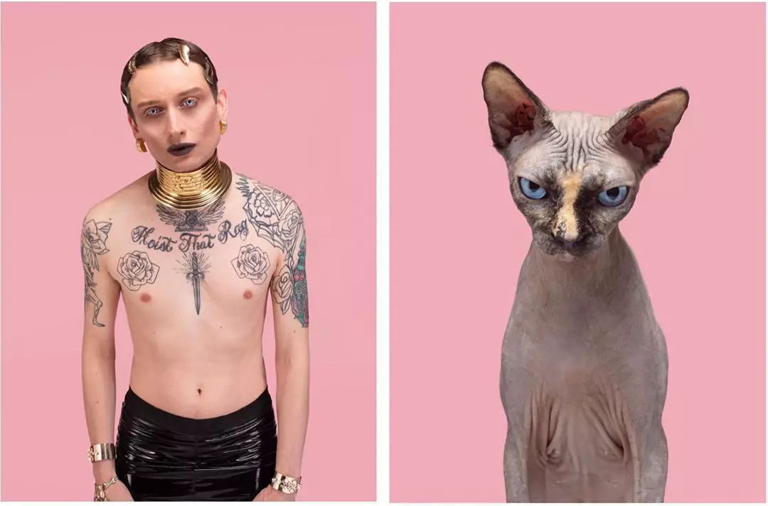 Gerrard Gethings has captured cats and their human lookalikes (