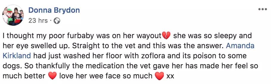 Donna took to Facebook to warn other pet owners about her dog's experience (