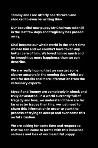 Molly posted a statement on her Instagram Stories (
