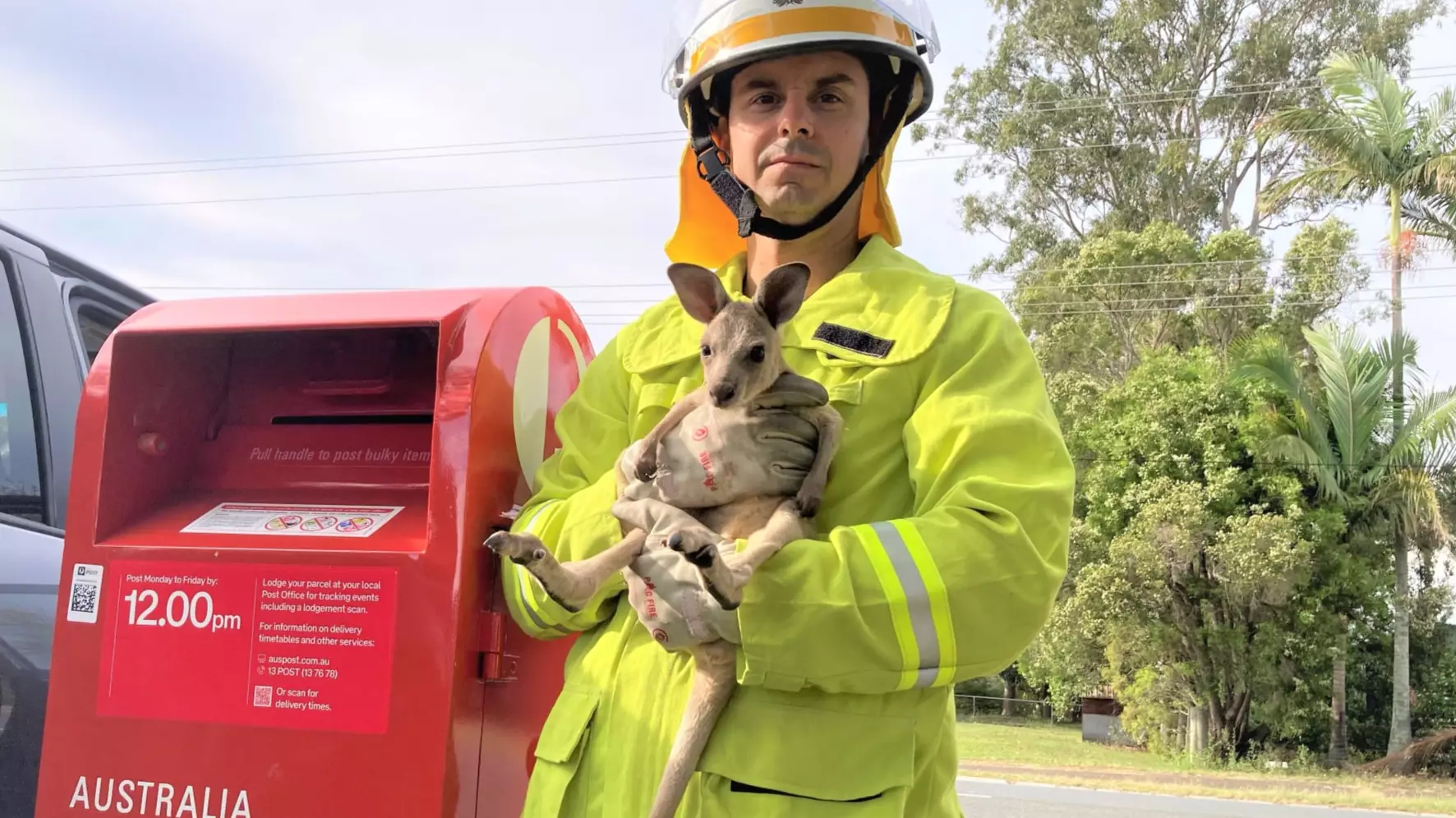 Shock After Kangaroo Joey Found Stuffed Inside Australian Post Box