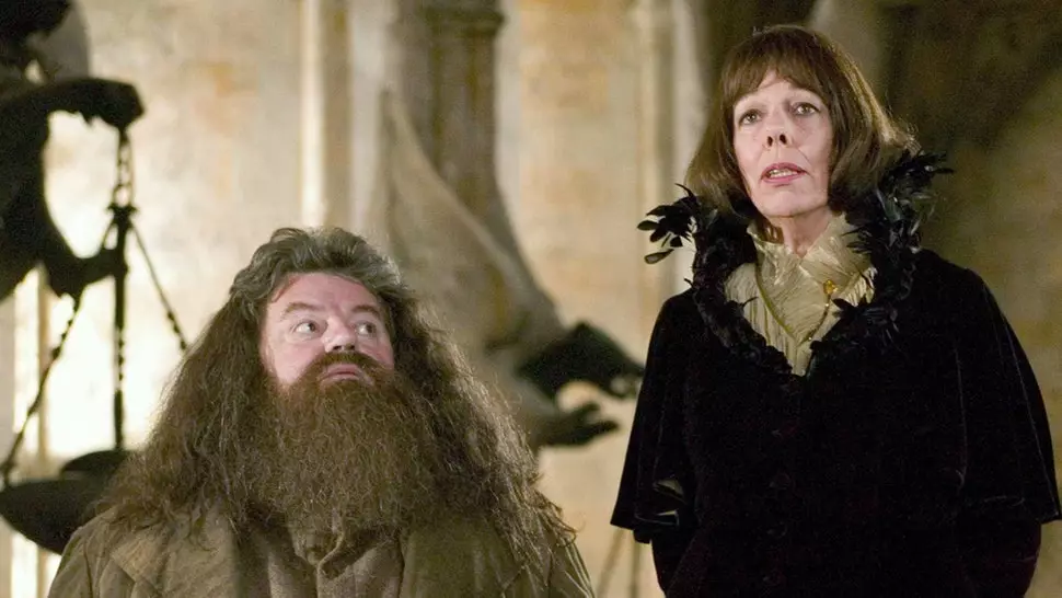 'Harry Potter' actress Frances de la Tour also stars (