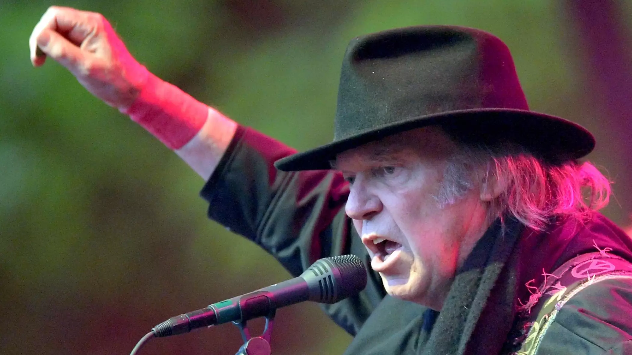 Spotify Agrees To Pull Neil Young's Music After He Slammed Joe Rogan's Podcast