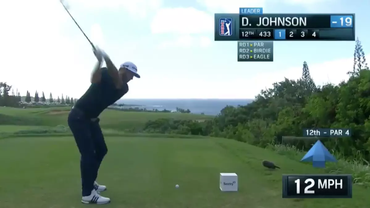 Dustin 'Happy Gilmore' Johnson Inches From Hole-In-One On A 433 Yard, Par 4 