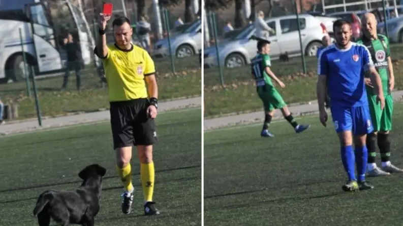 Dog Sent Off For Invading Pitch FOUR Times In Serbian Football Game