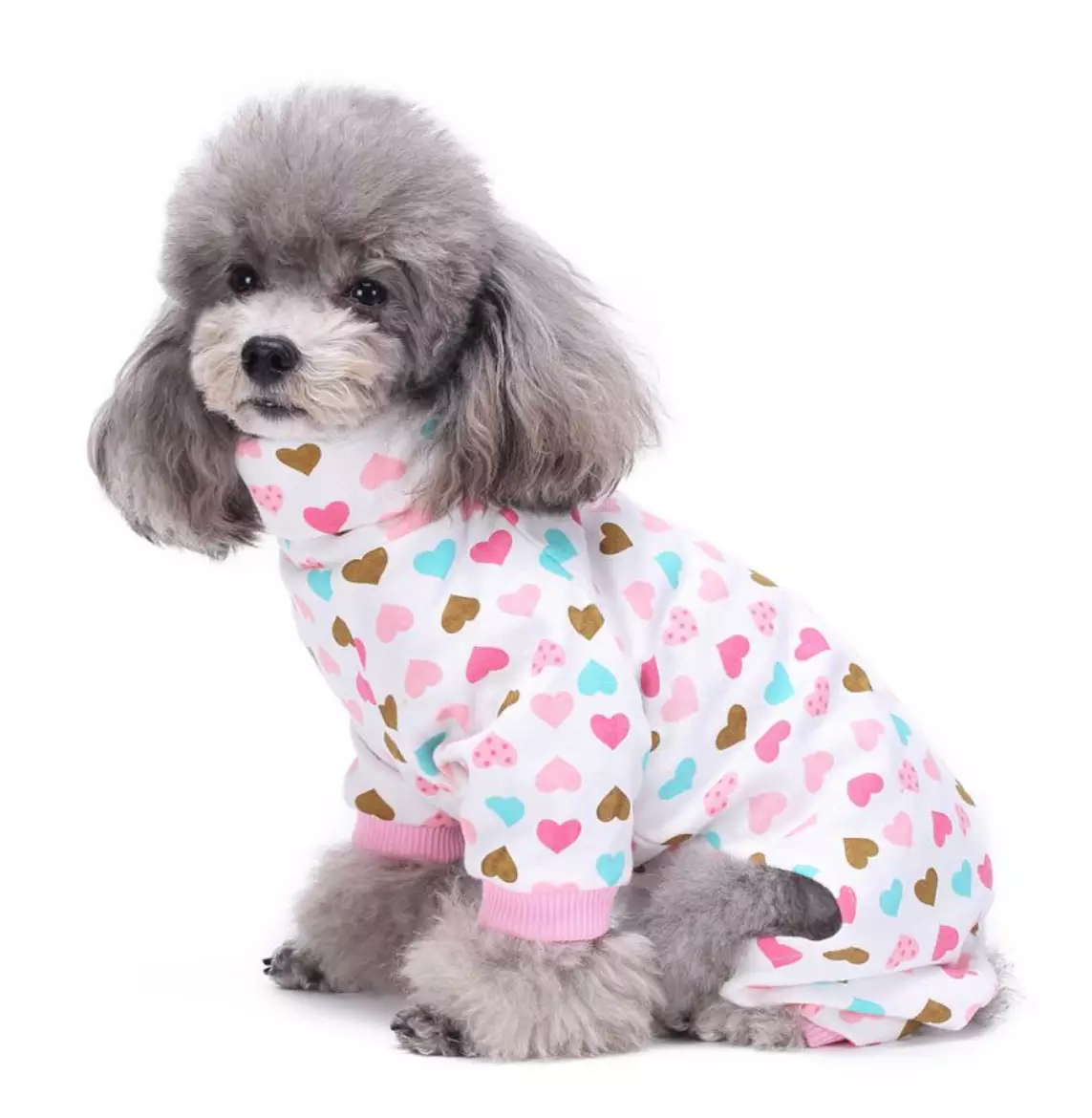 Dachshund Everywhere are selling pyjamas for small dogs and they look adorable (
