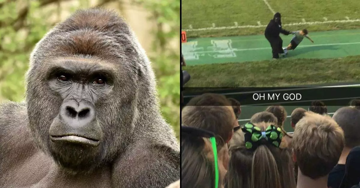 Lad Stages Heart-Warming Tribute To Harambe At High School Football Game