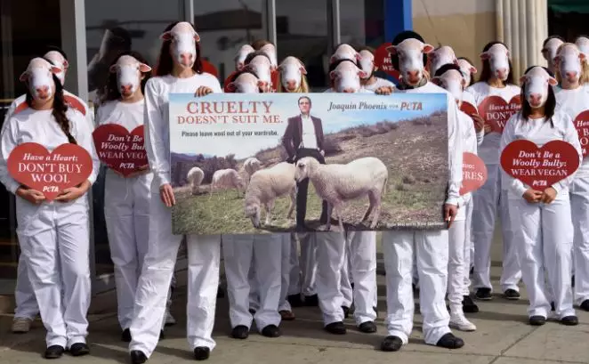 There are campaigns to stop the farming of wool.