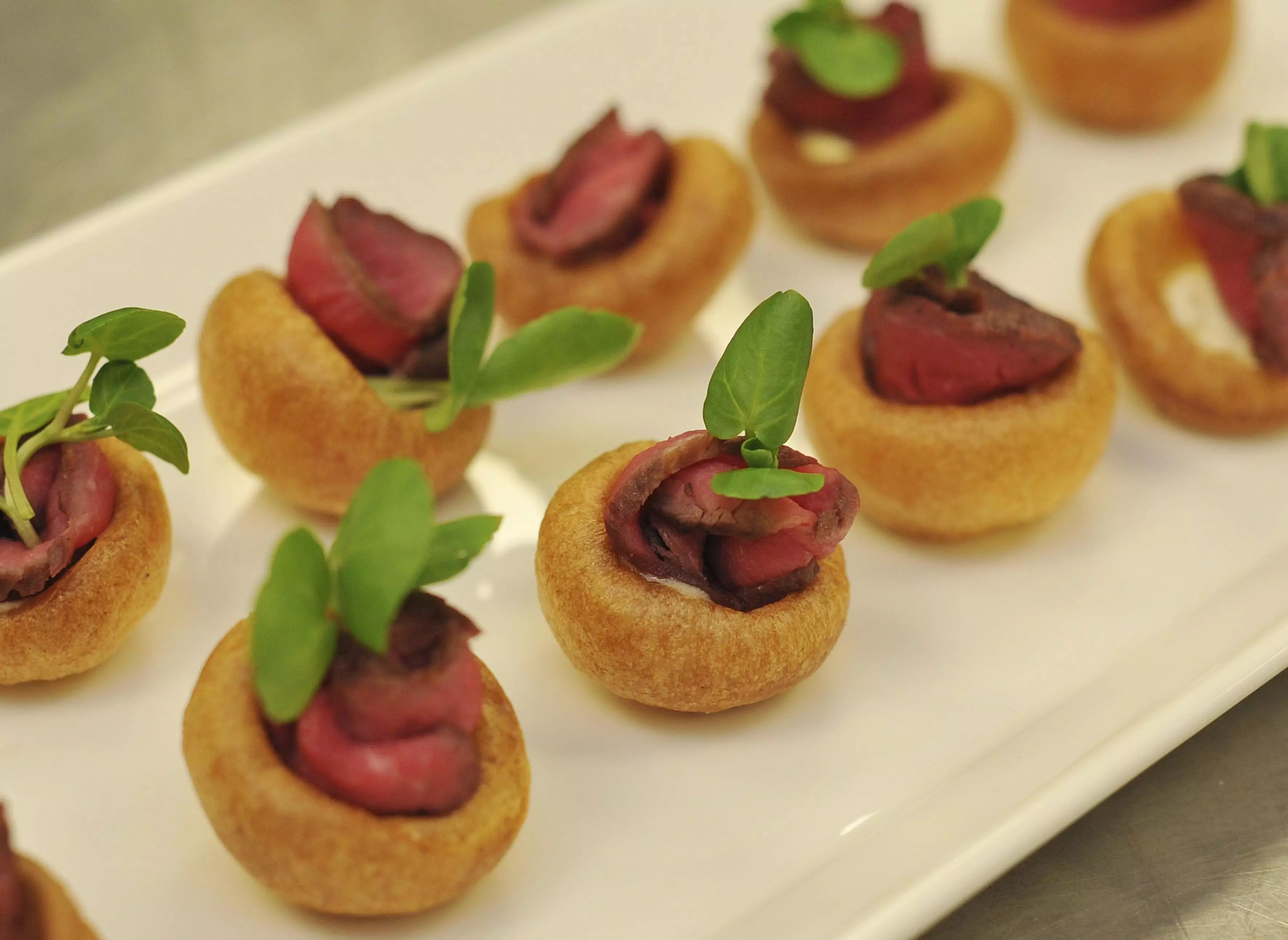 Guests will be able to sample an array of different kinds of Yorkies (