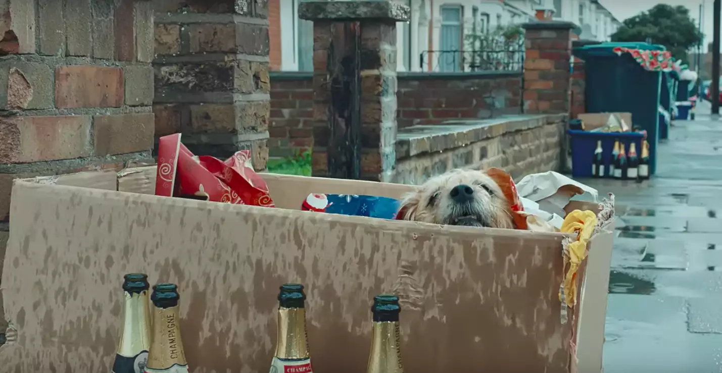 Sad scenes show a pooch left in a dumpster along with all of the rest of the Christmas rubbish. (