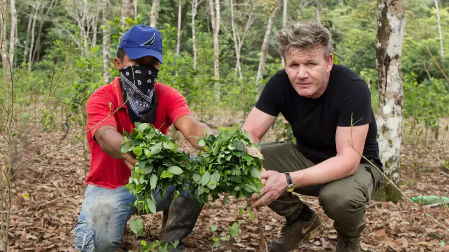 Viewers React To 'Gordon Ramsay On Cocaine' Documentary