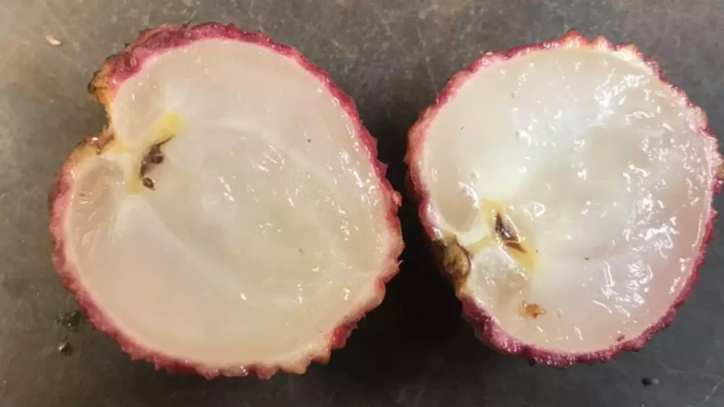 Aussie Farmer Successfully Creates Seedless Lychees After Years Of Work