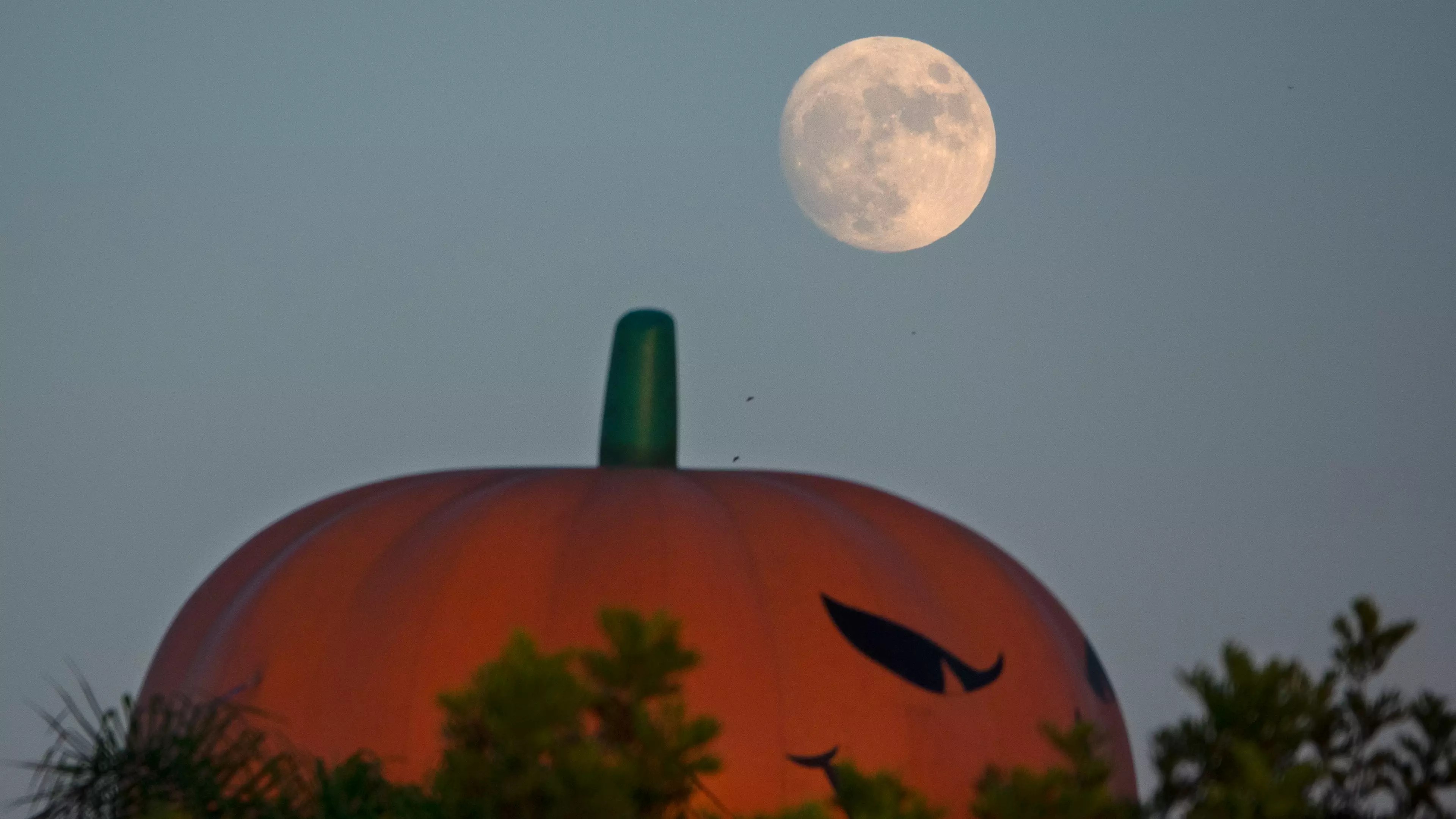Rare Blue Moon Will Be Visible On Halloween Tomorrow