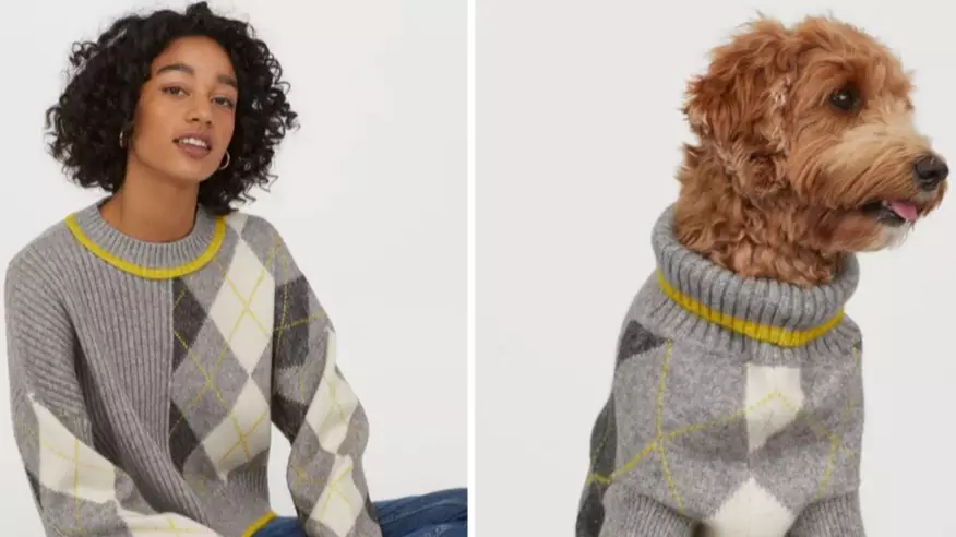 ​H&M and Pringle of Scotland Are Selling Matching Dog And Owner Jumpers