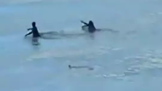 Footage Captures Massive Shark Swimming Towards Couple 