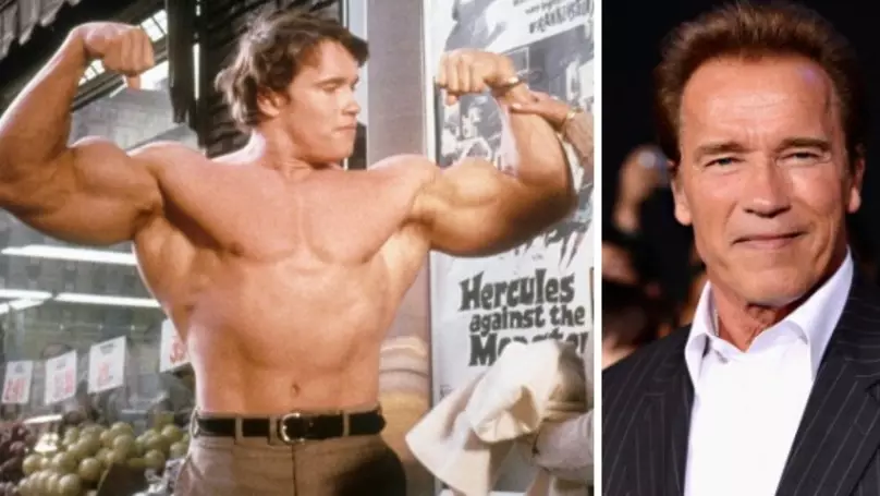 ​Arnold Schwarzenegger Wishes He Could Run For President Rather Than Donald Trump